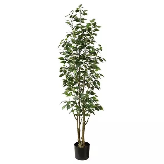 Ficus Benjamina 145 cm kunstplant