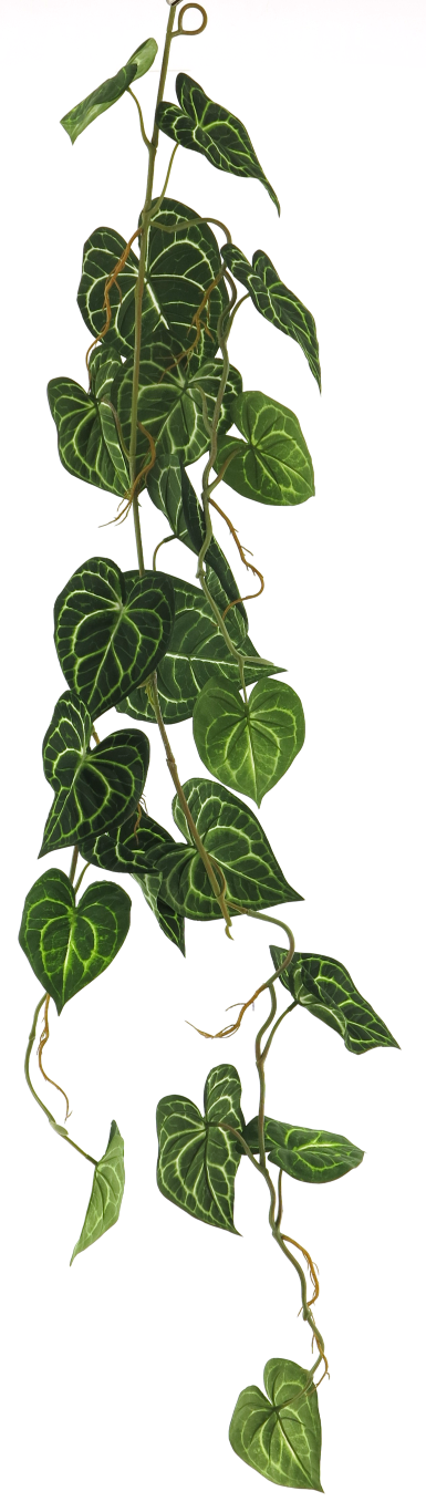 https://www.warentuin.nl/media/catalog/product/S/C/SCAN8505432367018_innovative_zijdebloem_scindapsus_alba_garland_green_109cm_inn_7203.png