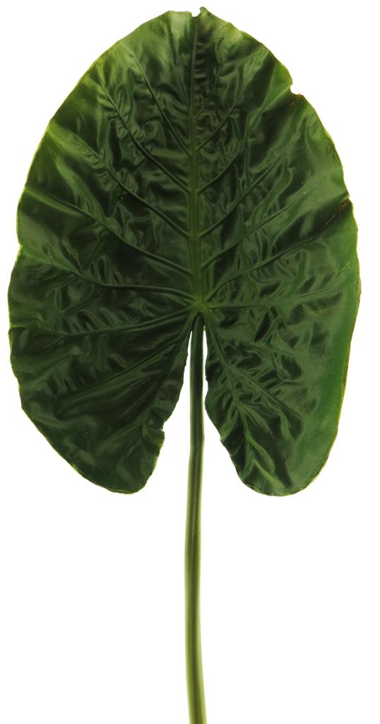 Alocasia leaf spray green 76 cm kunstbloemen - Nova Nature