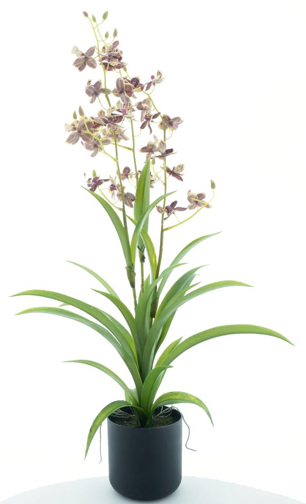 Dendrobium orchid in pot red/green 70 cm kunstbloemen - Nova Nature