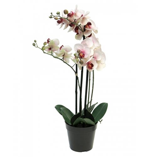 Phalaenopsis Orchidee In Pot 60 cm roze kunstplant Nova Nature