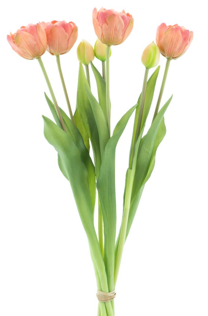 https://www.warentuin.nl/media/catalog/product/S/C/SCAN8505458702749_nova_nature_kunstbloemen_pso_double_tulip_bundle_sally_peach__729a.jpg