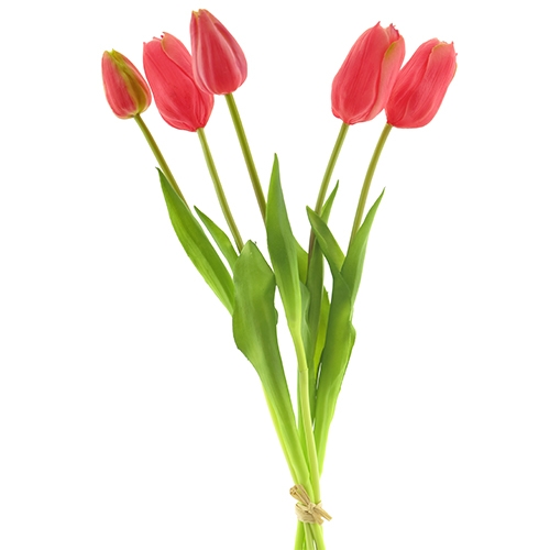 Arentzs tulip bundle sally 5 st. beauty 49 cm kunstbloem Nova Nature