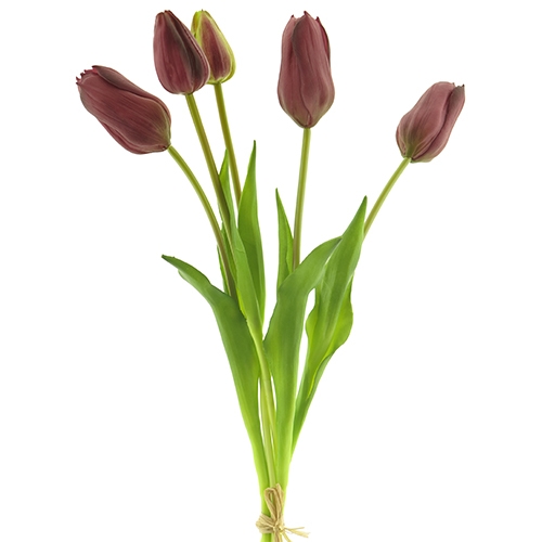 Arentzs tulip bundle sally 5 st. aubergine 49 cm kunstbloem Nova Nature