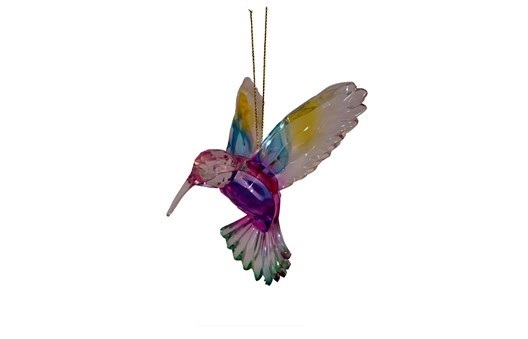 Hummingbird Rainbow