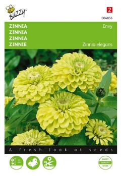 https://www.warentuin.nl/media/catalog/product/S/C/SCAN8711117048565_zaden_zinnia_envy_1_gram_buzzy_seeds_3aec.jpg