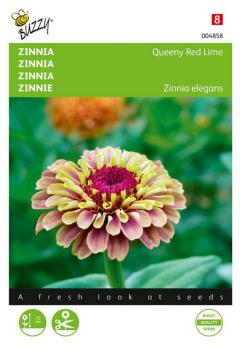 https://www.warentuin.nl/media/catalog/product/S/C/SCAN8711117048589_zaden_zinnia_queeny_red_lime_25_zaden_buzzy_seeds_3bb9.jpg