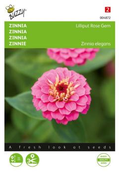 https://www.warentuin.nl/media/catalog/product/S/C/SCAN8711117048725_zaden_zinnia_lilliput_rose_gem_1_gram_buzzy_seeds_e8e3.jpg