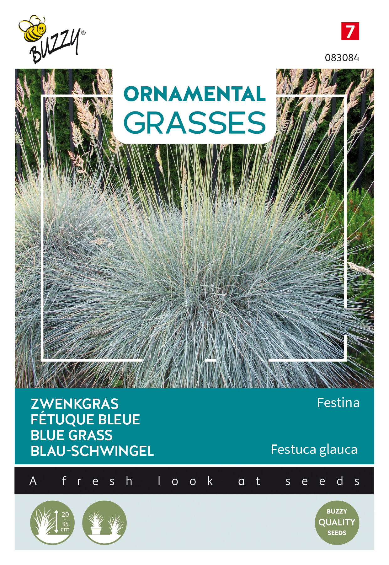https://www.warentuin.nl/media/catalog/product/S/C/SCAN8711117830849_buzzy_tuinzaden_zaden_ornamental_grasses_festuca_glauca_blaue_86a2.jpeg