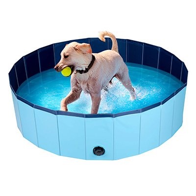 Dog Swimming Pool Medium Edco ALPC