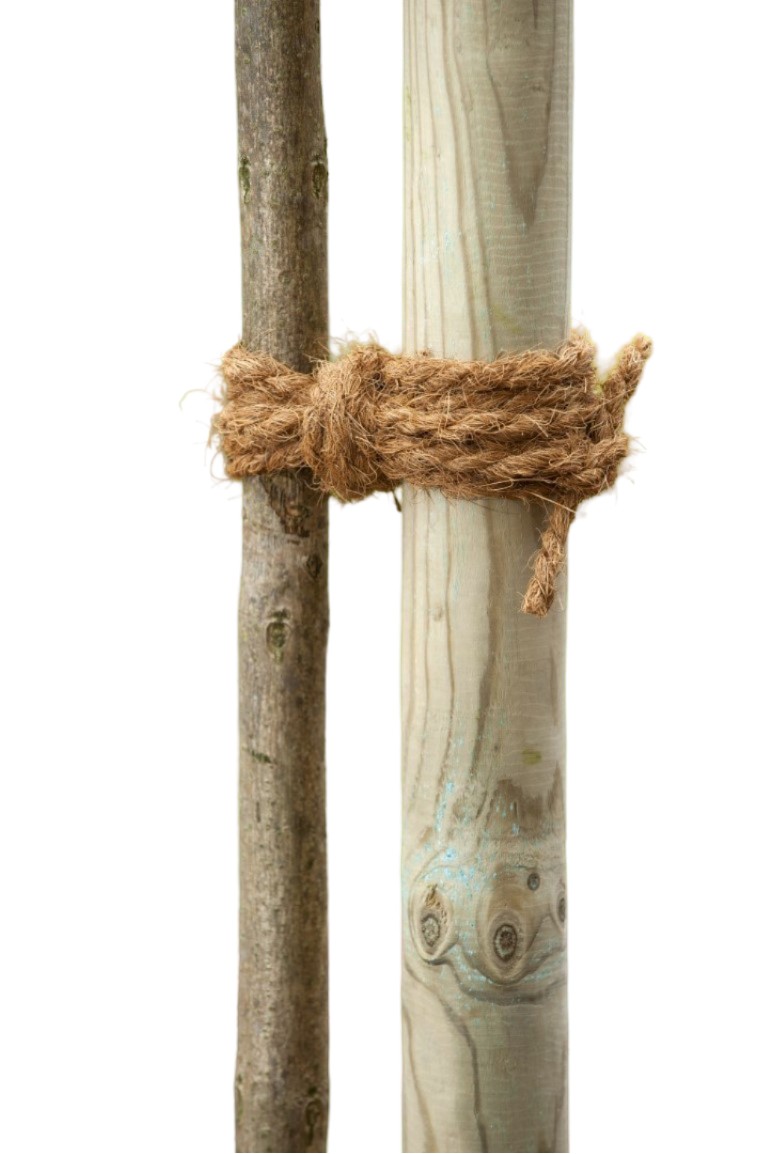 https://www.warentuin.nl/media/catalog/product/S/C/SCAN8711338405123_kokosnussschnur_15m_nature_63bc.jpg