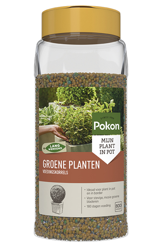 https://www.warentuin.nl/media/catalog/product/S/C/SCAN8711969013803_pokon_tuinaccesoire_groene_planten_voedingskorrels_800gr_2472.jpg