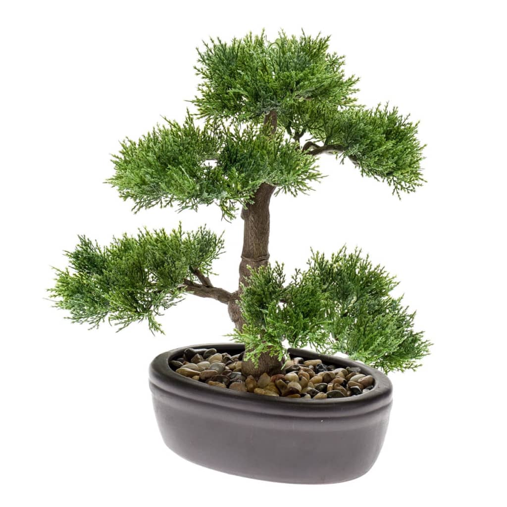 https://www.warentuin.nl/media/catalog/product/S/C/SCAN8714344265170_de_driesprong_bonsai_zijdeplant_bonsai_cedar_5d0a.jpeg