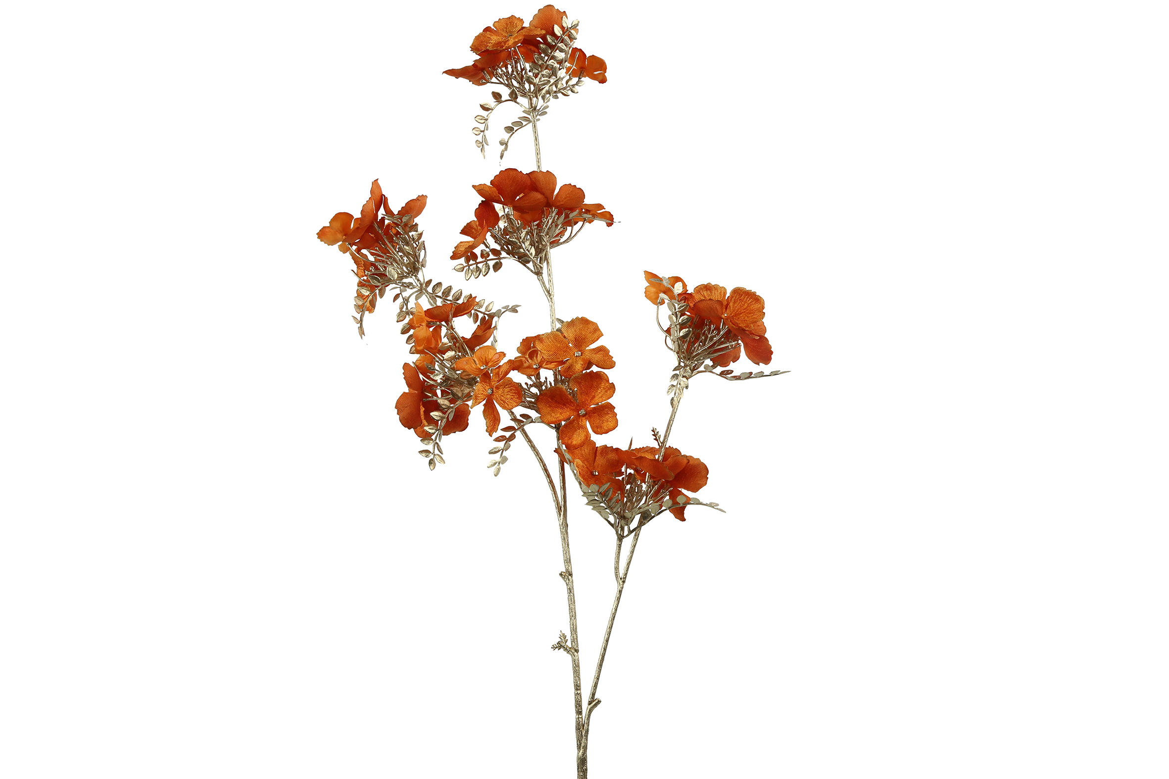Hydrangea S oranje - Countryfield