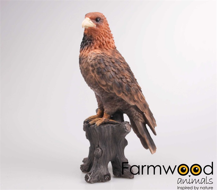 https://www.warentuin.nl/media/catalog/product/S/C/SCAN8719048064449_farmwood_animals_beeld_adelaar_l41_cm_farmwood_animals_e312.jpg