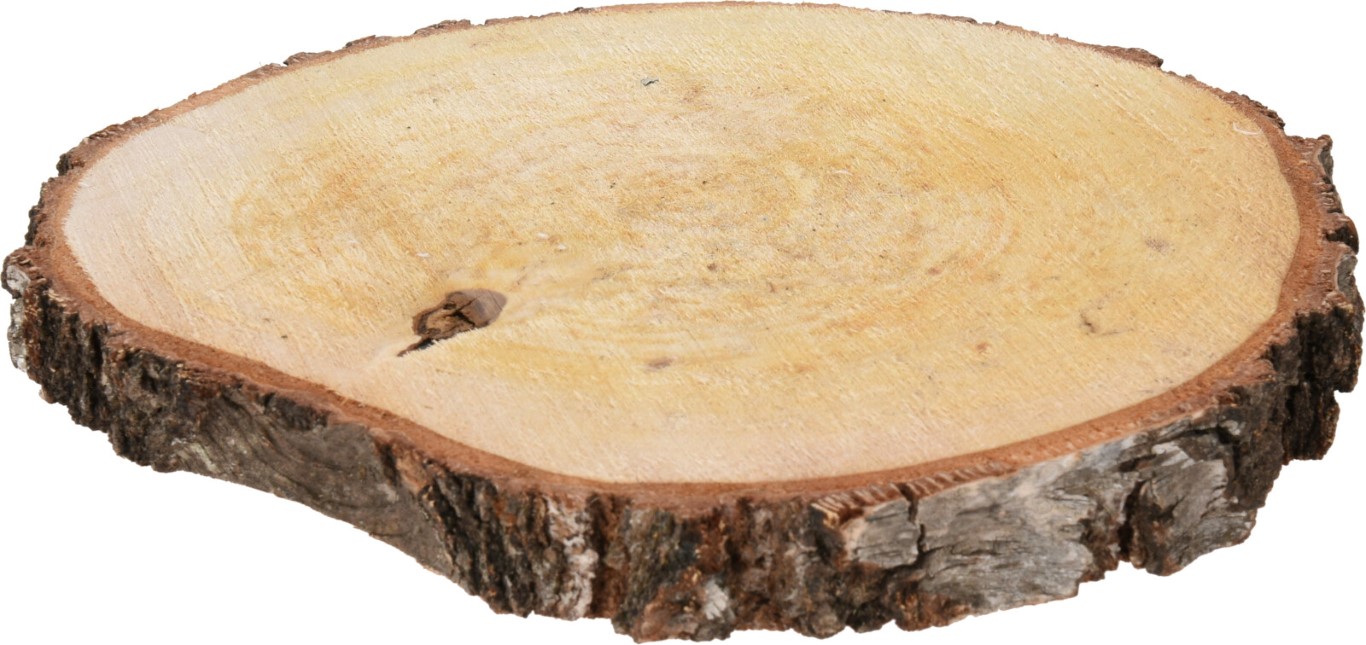 Wooden Slice Oak 18-23 cm (F1) - Nampook