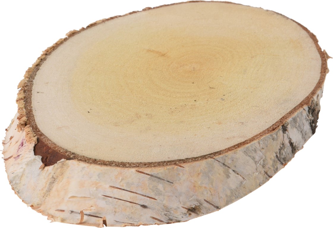 Wooden Slice Birch Oval(F1) - Nampook