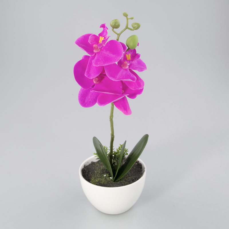 Orchidee in kunststof pot lavendel M