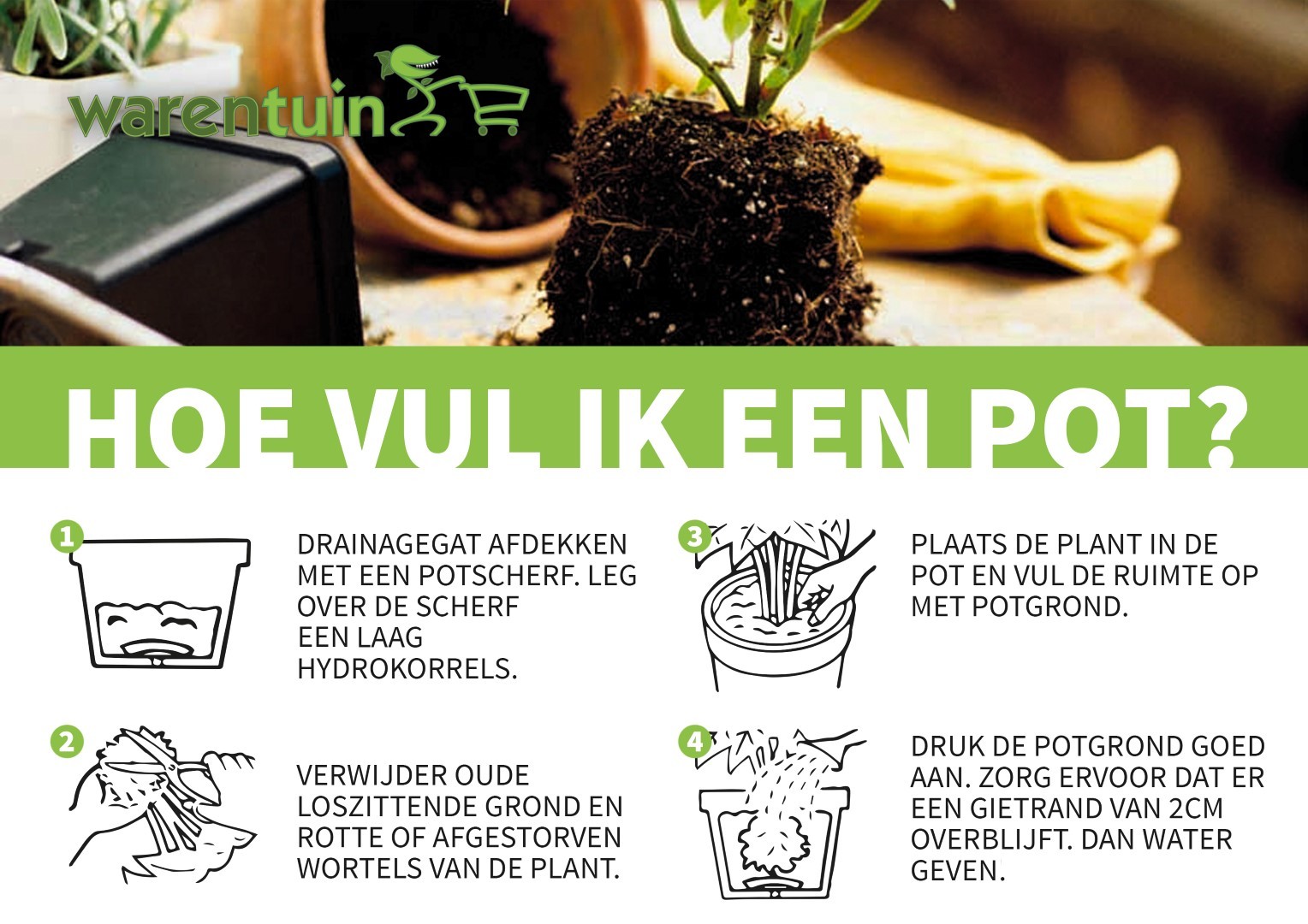 https://www.warentuin.nl/media/catalog/product/i/m/import_l_pot_planten_in_pot_2_60_2030.jpg